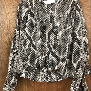 Karlie silk dress top